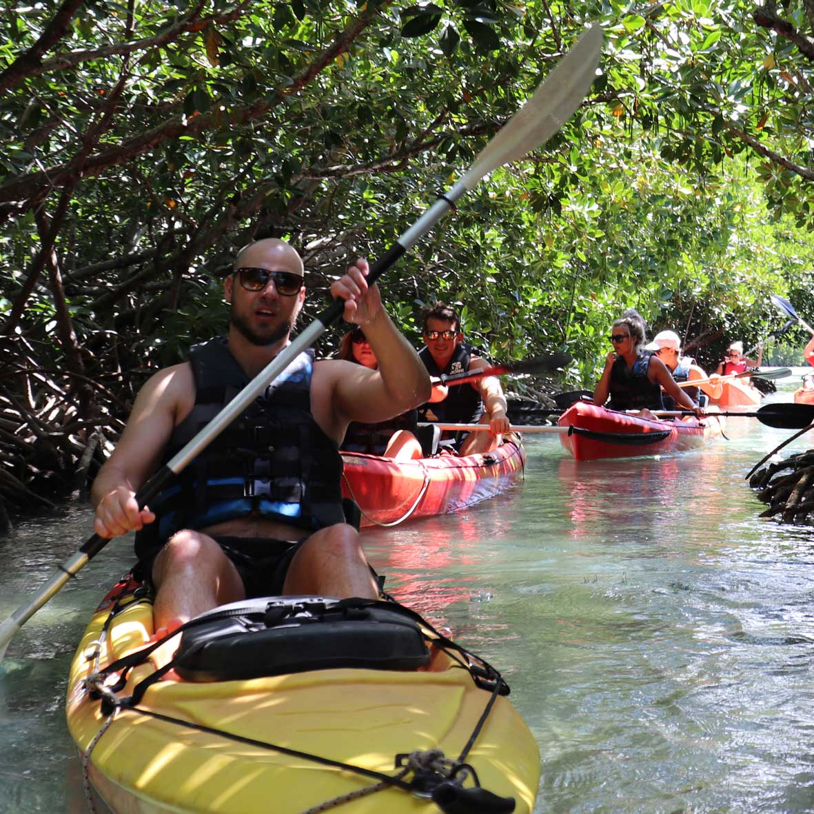 Sea Kayaking Sustainable Holiday Activity